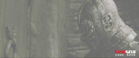 14.gif