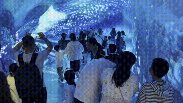 4.GIF
