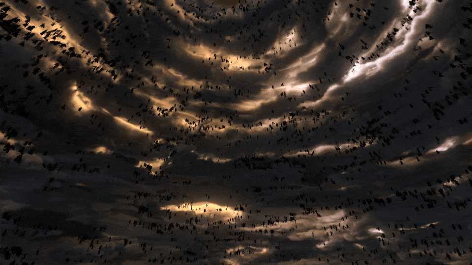 01-min.gif